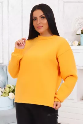 Толстовка женская 843489