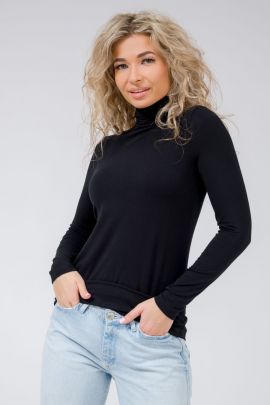 Водолазка 0263-11 черный последний размер Водолазка 0263-11 черный последний размер