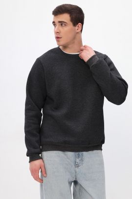 Толстовка мужская Бронд Г WB Арт. 10622