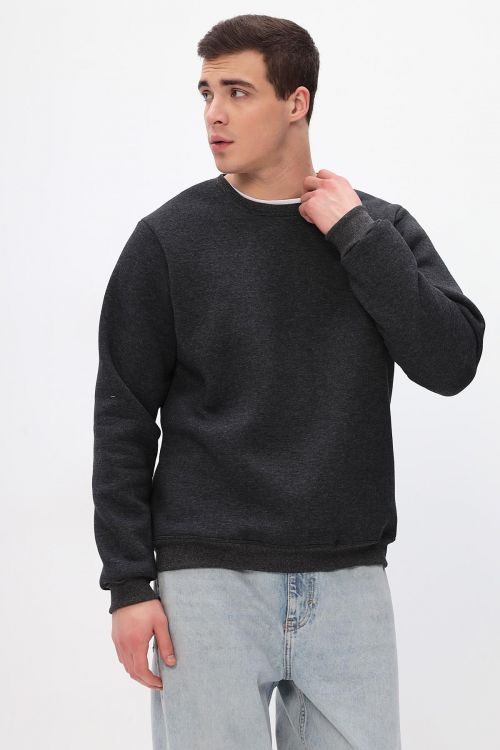 Толстовка мужская Бронд Г WB Арт. 10622