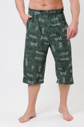 № 2196/1 Бриджи