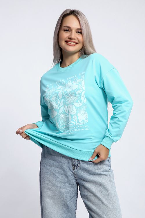 Толстовка 80047